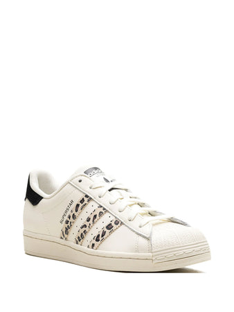 Adidas tenis Superstar Leopard White concha